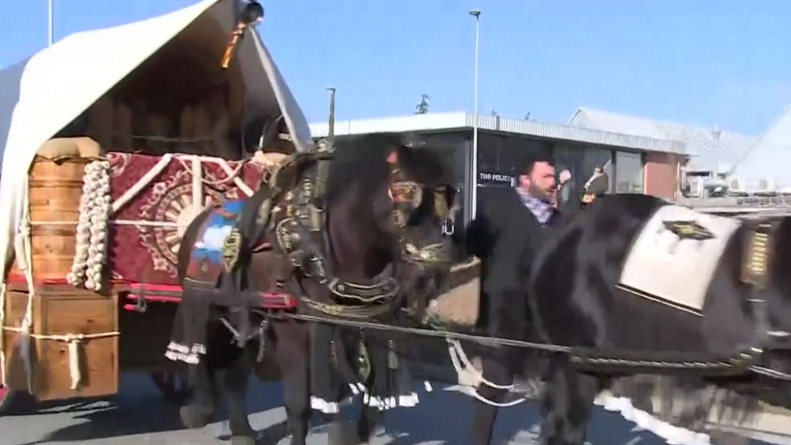 La Rua dels Tres Tombs amb una nova normativa de benestar animal - L'Informatiu | Ver