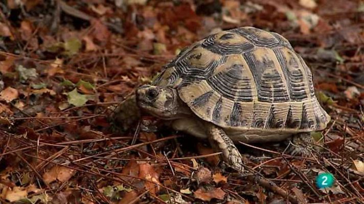 Biodiario - Biodiario - 27/11/12