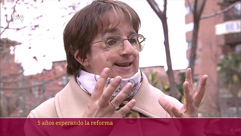 Vicky Bendito, clave en la reforma del artículo 49 | Ver