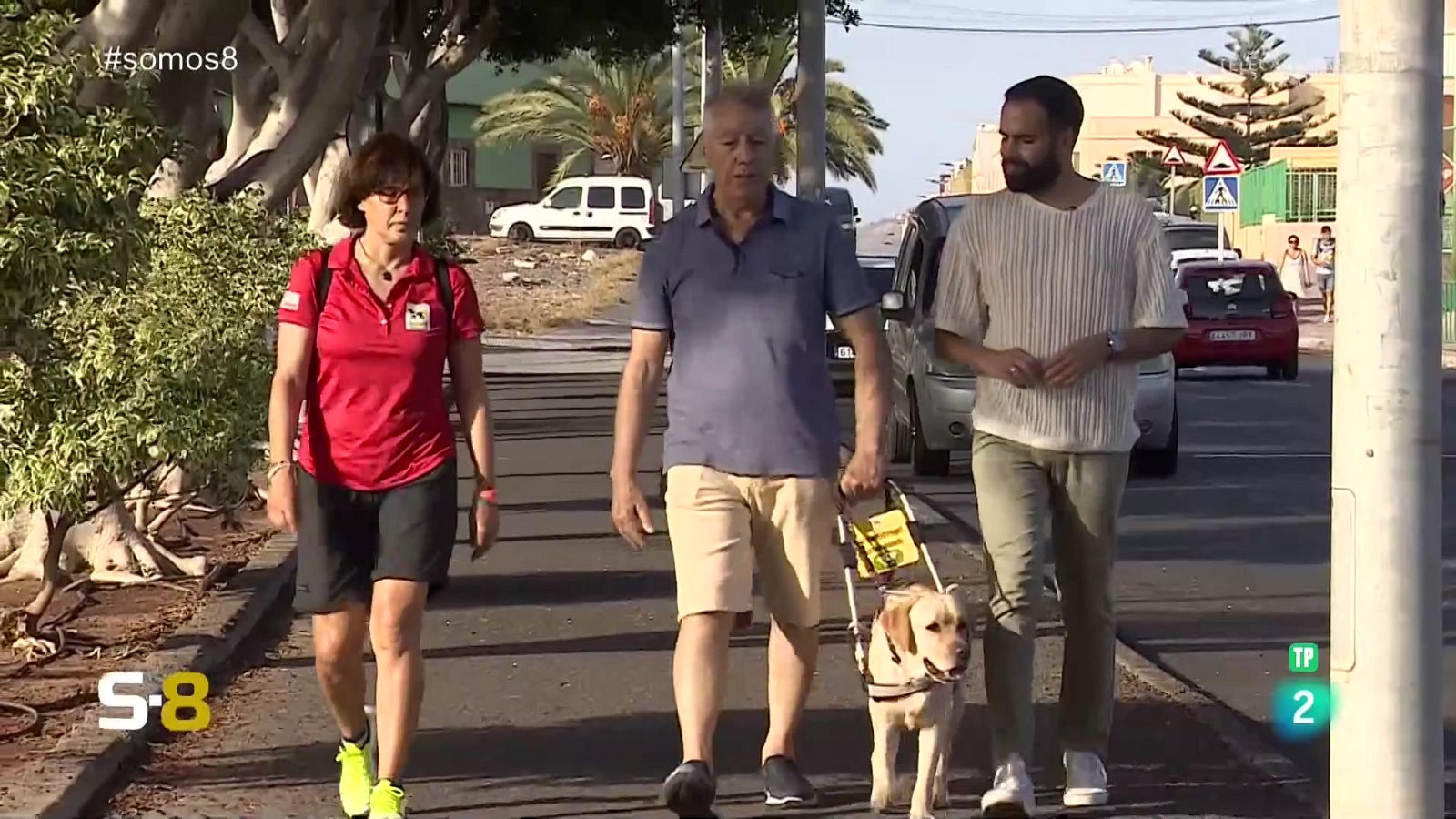 Somos 8 - 23/01/2024 - Somos 8 | Ver