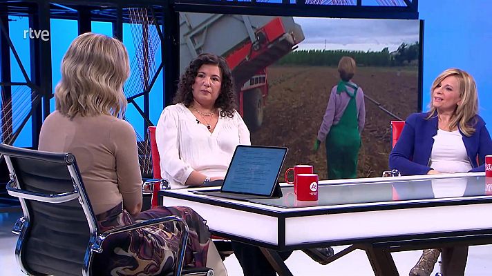 La aventura del Saber - Proyecto europeo Grass Ceiling