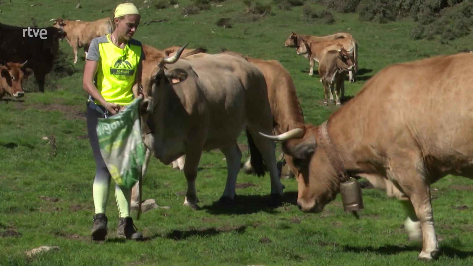 Grass Ceiling. Cómo romper el techo de cristal rural | Ver