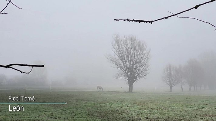 El tiempo - Intervalos de viento fuerte y/o rachas muy fuertes en Canarias y Estrecho