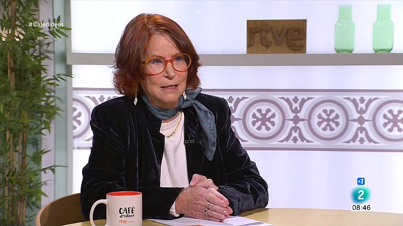 Giménez-Salinas no considera terrorisme els actes de Tsunami i CDR | Veure