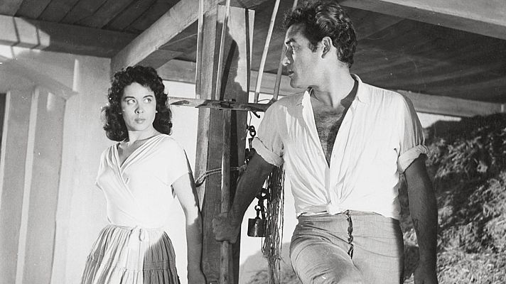 Cine de siempre - La gata