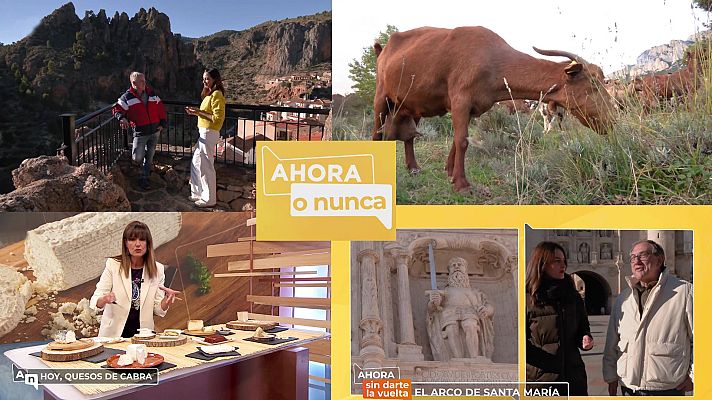 Ahora o nunca - Programa 255