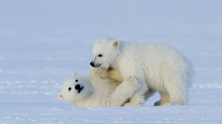 Somos Documentales - La reina sin tierra