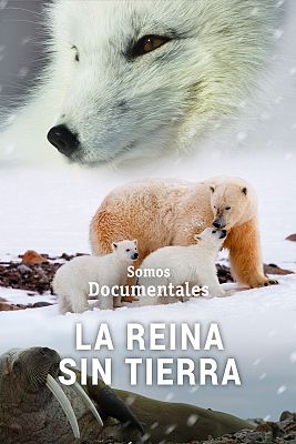 La reina sin tierra