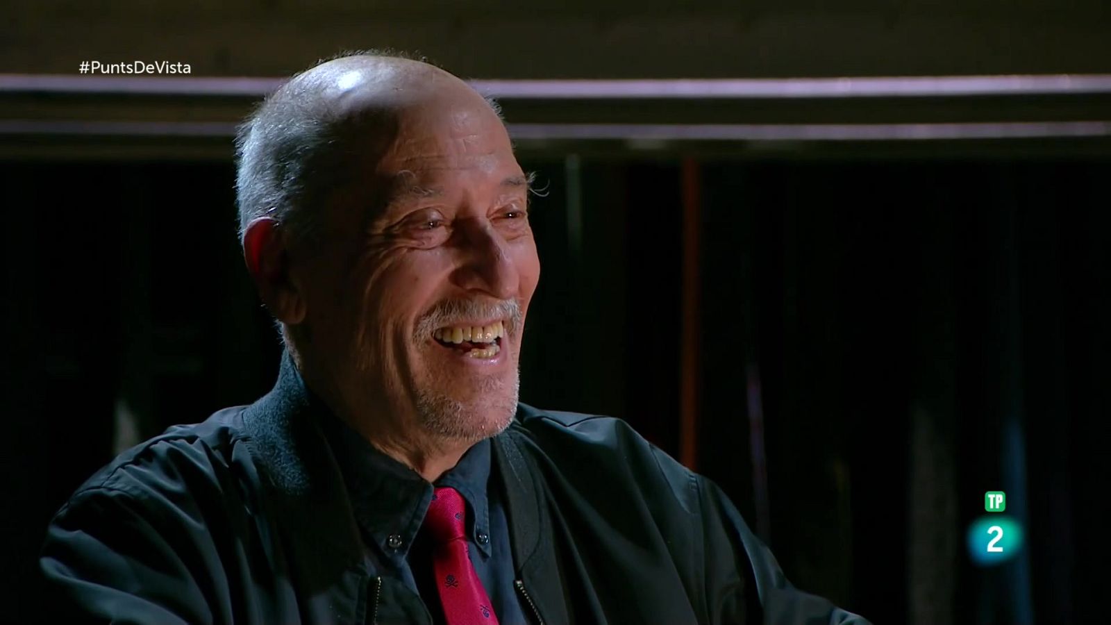 Punts de Vista - Andreu Martín i Pelat i Pelut - Veure ara