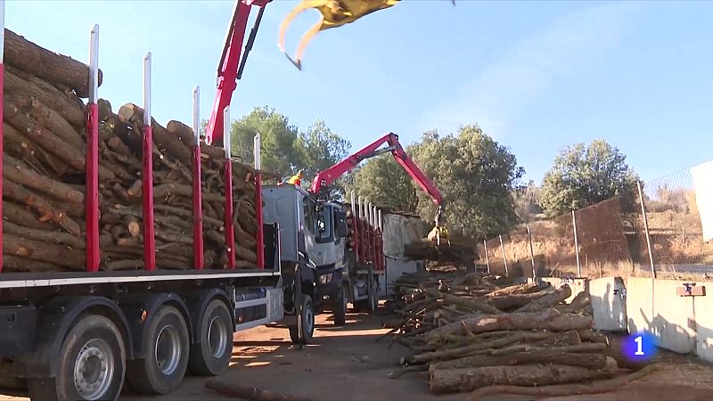 Les altes temperatures enfonsen la venda de llenya - L'Informatiu | Ver