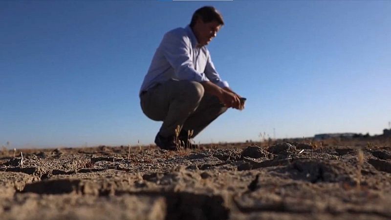 La sequía ahoga al sector primario en España | Ver