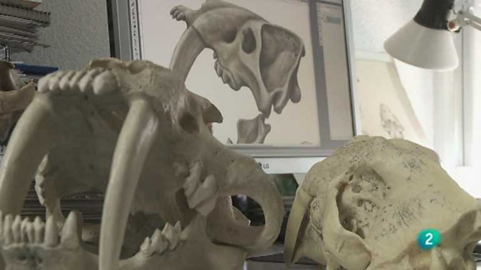 Biodiario - 28/11/12 - Ver ahora