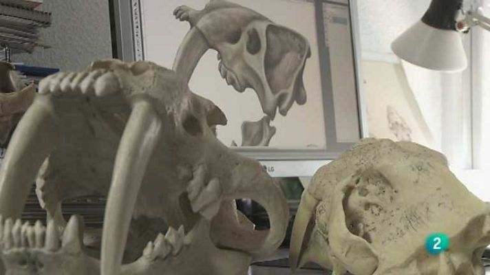 Biodiario - Biodiario - 28/11/12