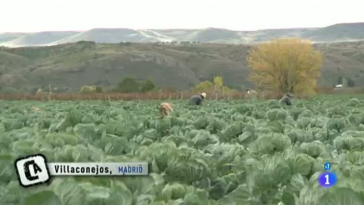 Comando Actualidad - Inmigrantes en el campo