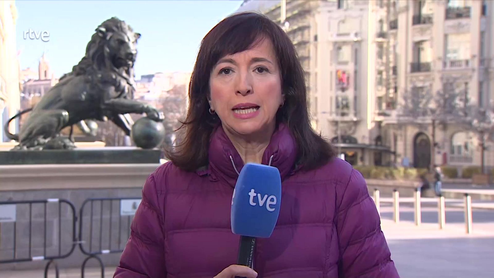 Parlamento-El Foco Parlamentario-Enmiendas a la Ley de Amnistía 27/01/2024 | Ver