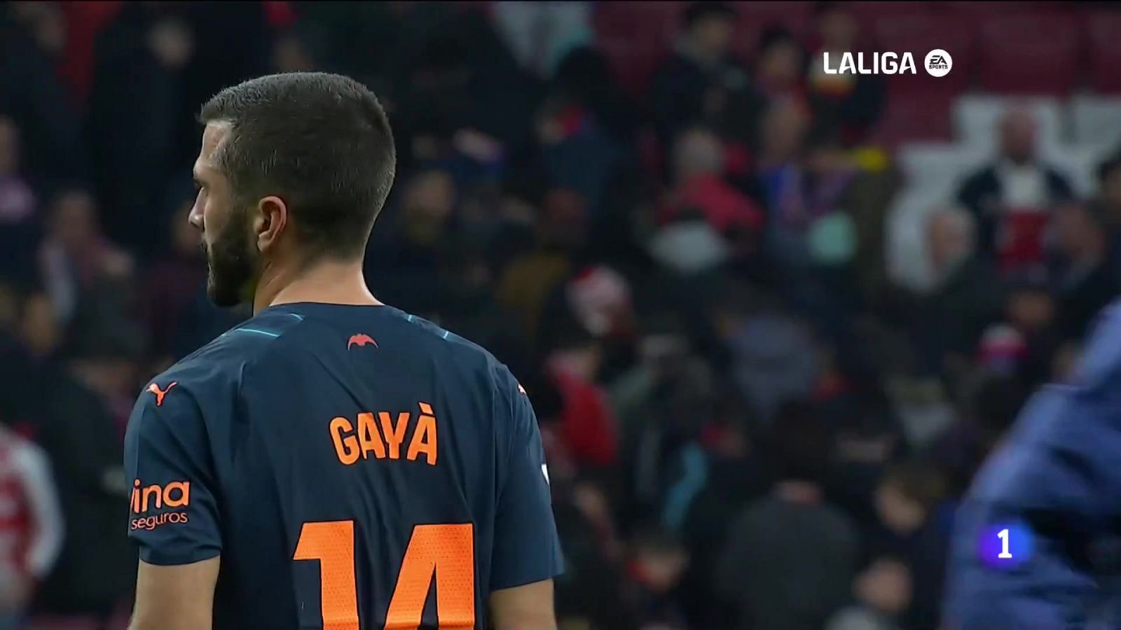 L'Informatiu de la Comunitat Valenciana 1 - 29/01/24 | Ver