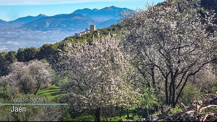 El tiempo - Nieblas matinales en la meseta Norte, Ebro, depresiones del nordeste y áreas del sudeste