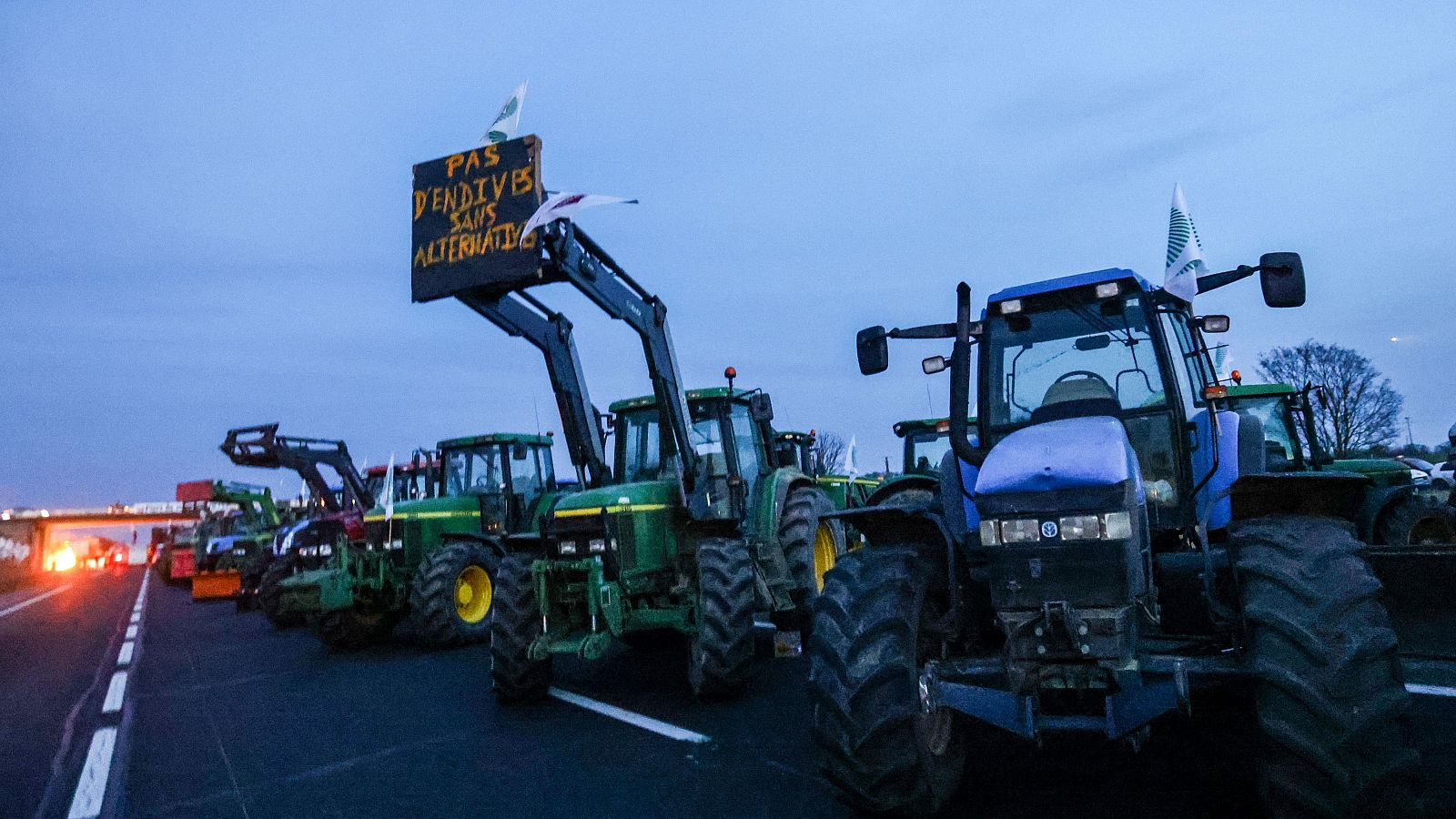 Telediario - 8 horas - 30/01/24 - ver ahora