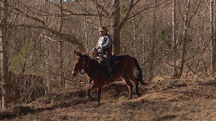L'informatiu - Comunitat Valenciana - La trashumancia entre los humedales del Jiloca y de Tuéjar