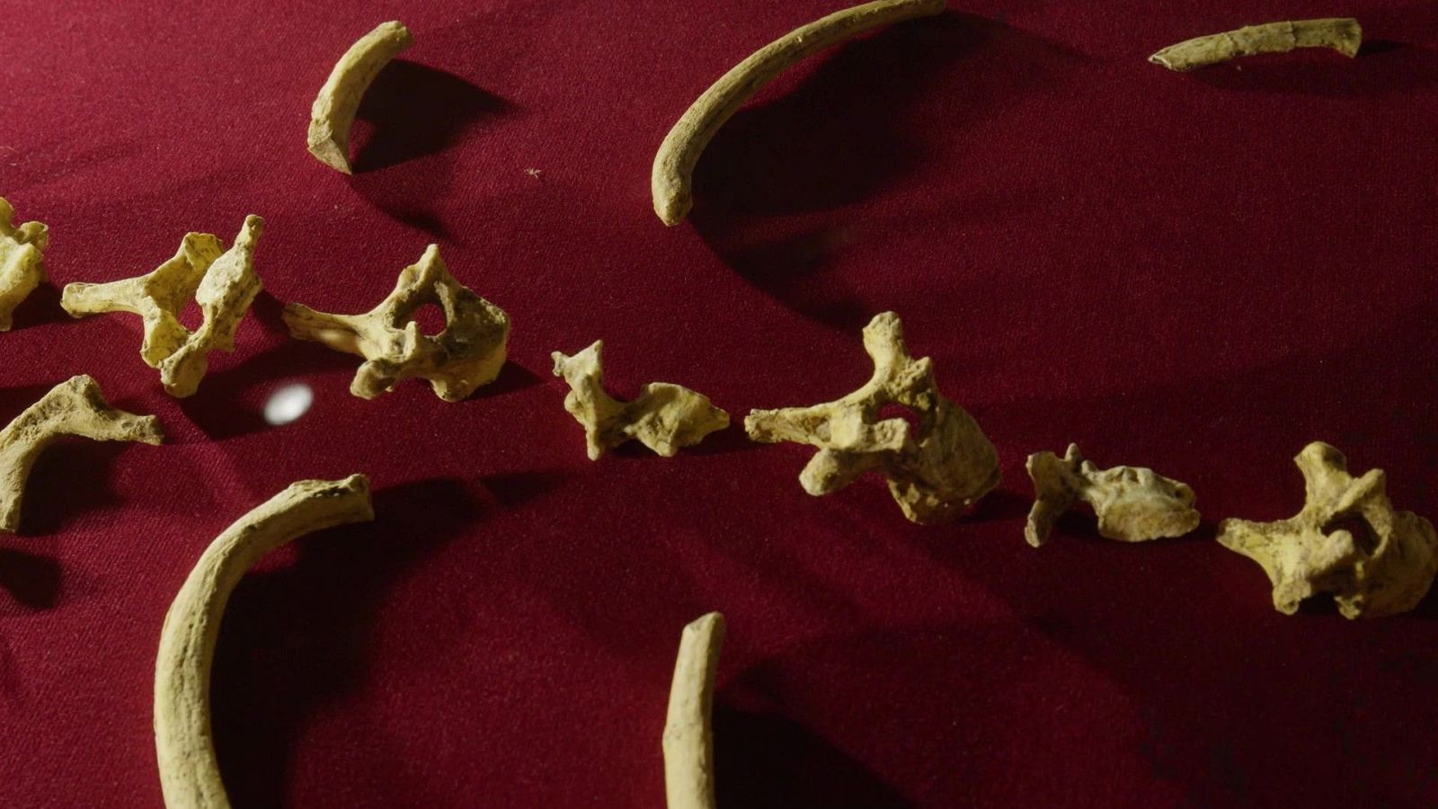 El yacimiento de Malapa - Arqueomanía - Arqueomanía | Ver