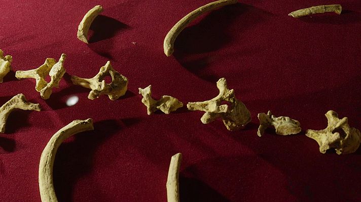 Arqueomanía - El yacimiento de Malapa