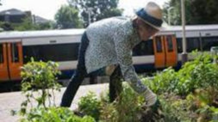Para todos La 2 - Una iniciativa británica para que los vecinos creen zonas verdes cerca de sus casas