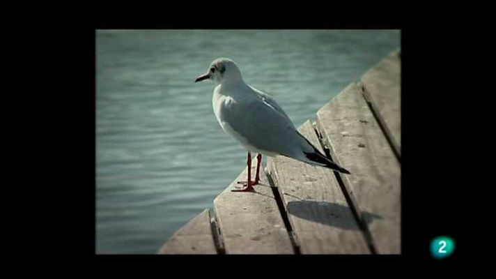 Biodiario - Biodiario - 29/11/12