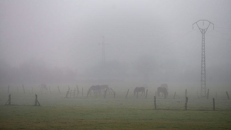 El tiempo matinal - 02/02/2024 - El tiempo | Ver