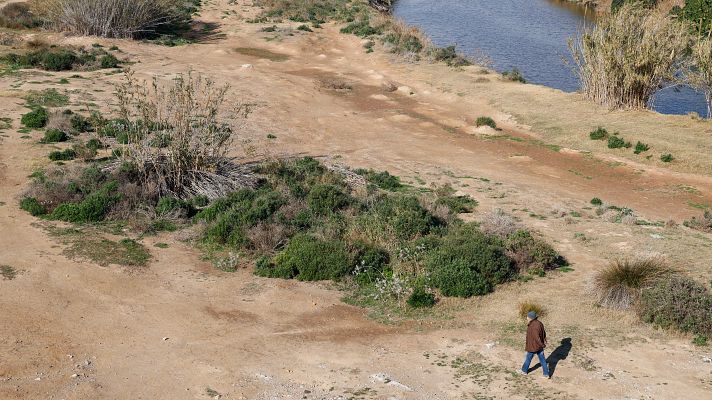 Telediario Matinal - Telediario - 8 horas - 02/02/24