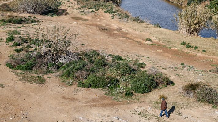 Telediario en lengua de signos - Telediario - 8 horas - 02/02/24 - Lengua de signos