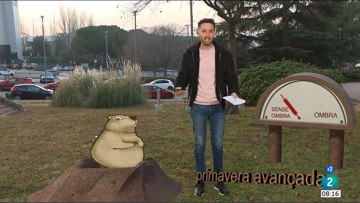 El temps - Avui la Candelera riurà, i el cap de setmana? I la marmota, què farà?