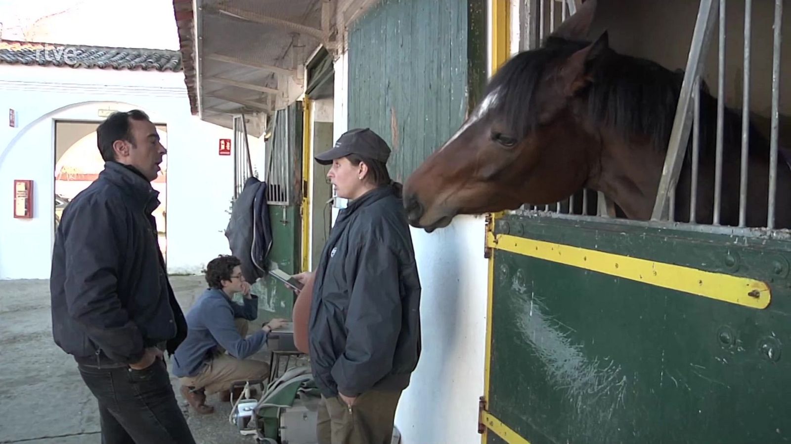 Aquí hay trabajo - 02/02/24 - ver ahora