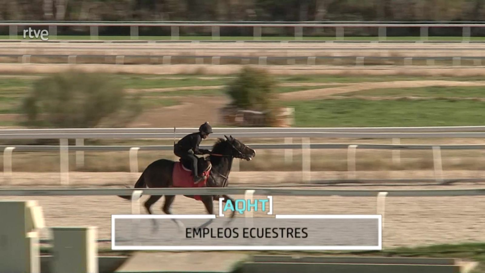 Empleos ecuestres - Aquí hay trabajo | Ver