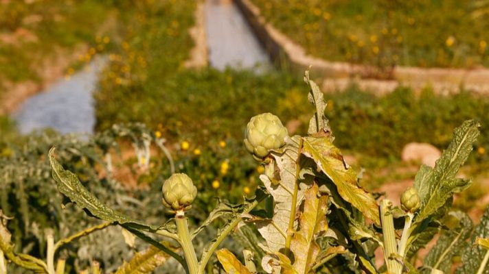 Telediario 1 - Telediario 1 en 4' - 02/02/24