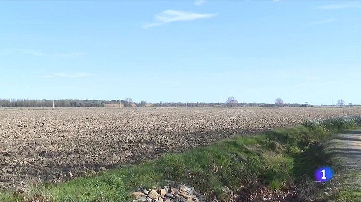 L'Informatiu - Conseqüències de la sequera: la supervivència dels conreus, en risc