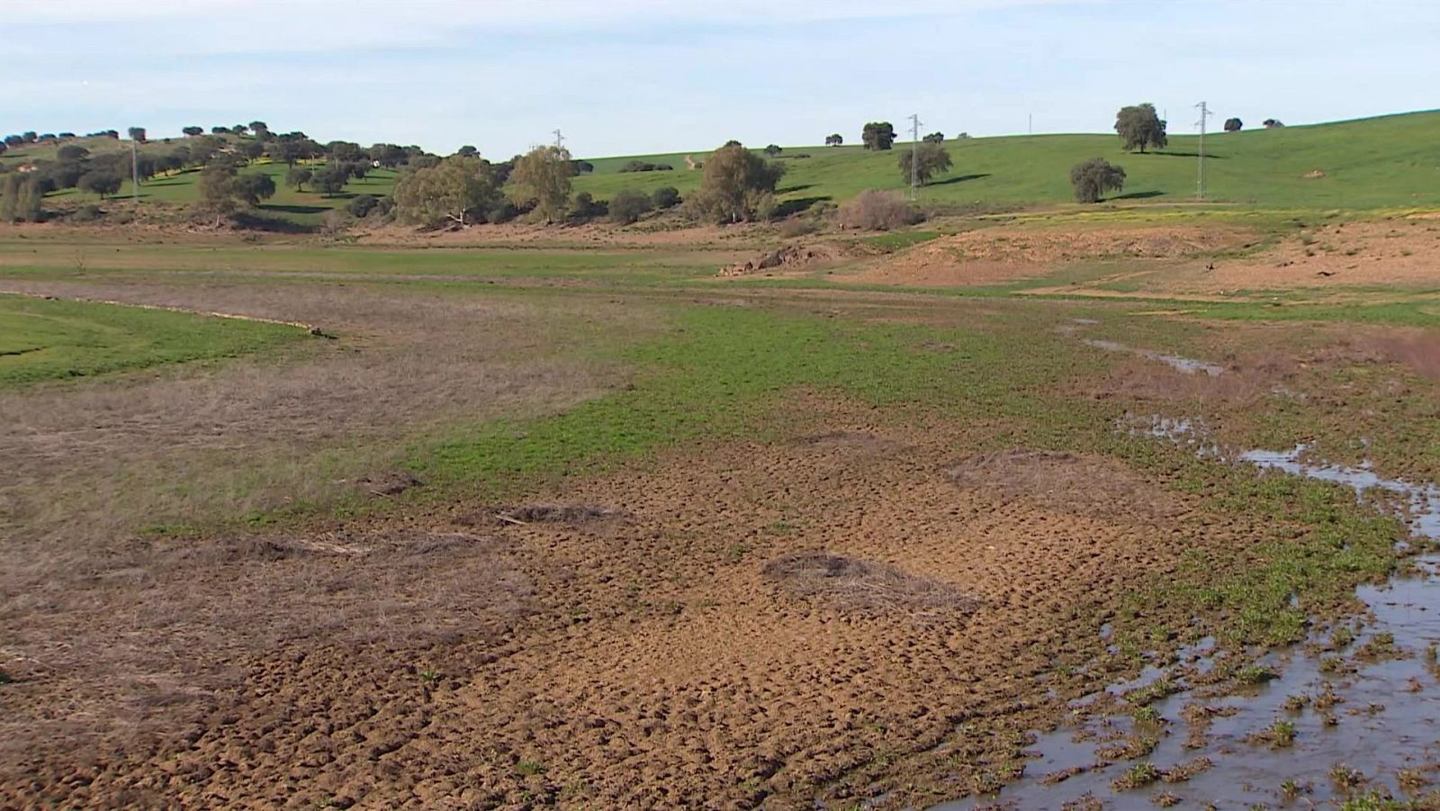 Informe Semanal - 03/02/24 - Lengua de signos - ver ahora