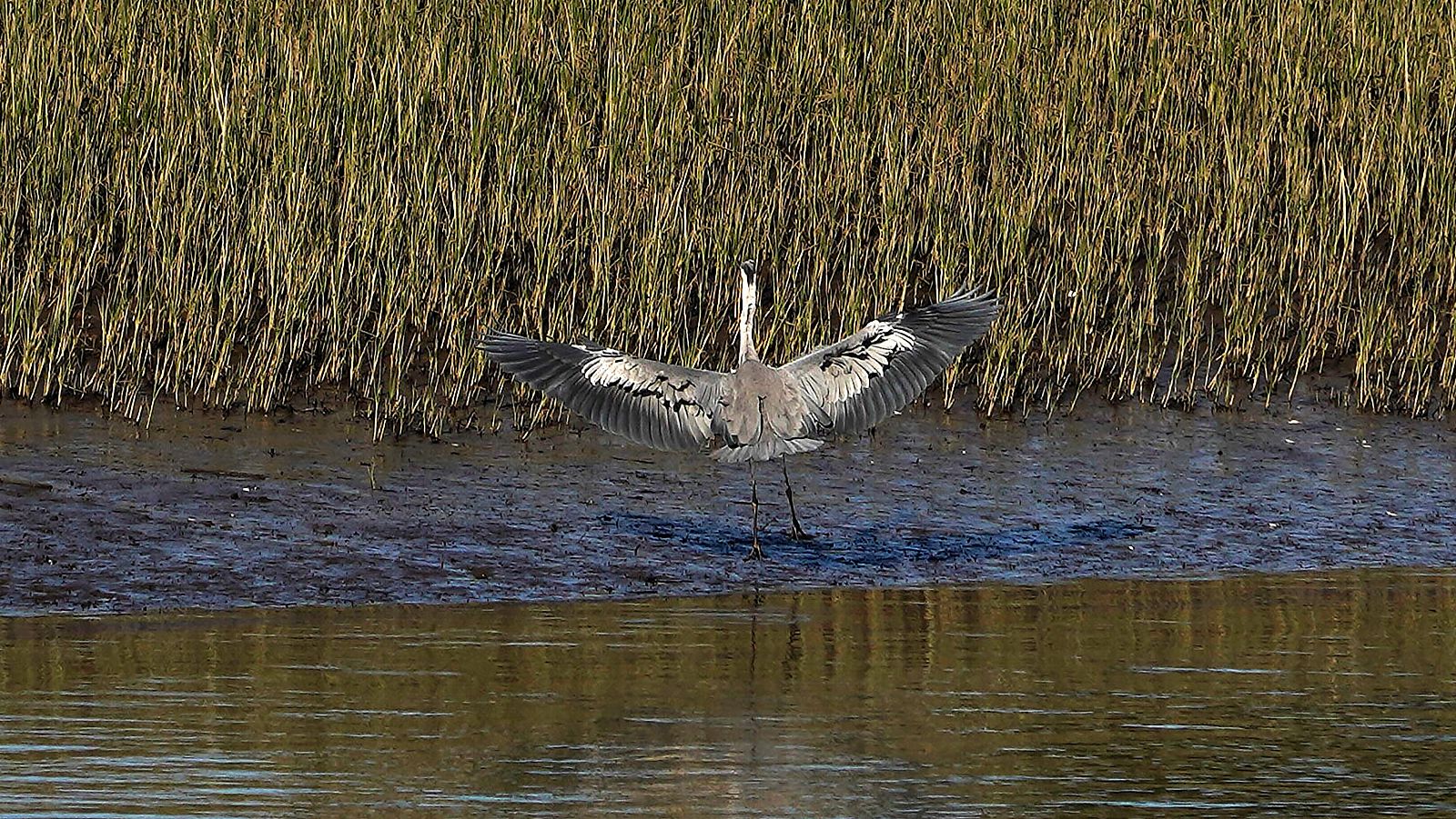 Cielos despejados y temperaturas por encima de lo normal - El tiempo | Ver