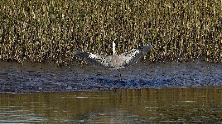 El tiempo - Cielos despejados y temperaturas por encima de lo normal