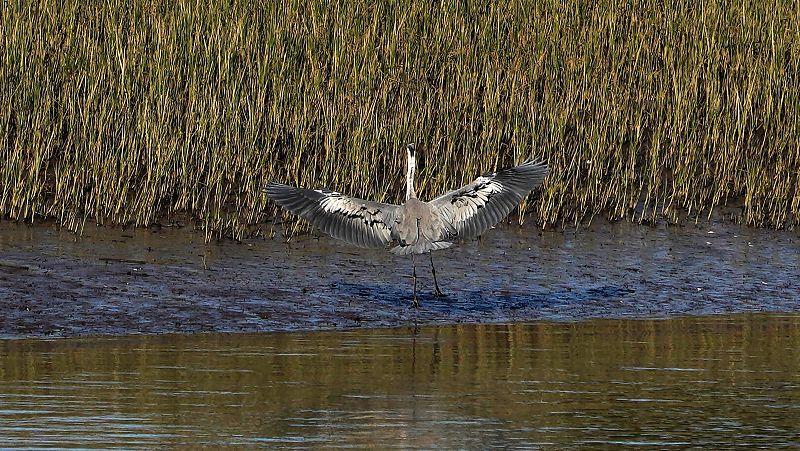 Cielos despejados y temperaturas por encima de lo normal - El tiempo | Ver
