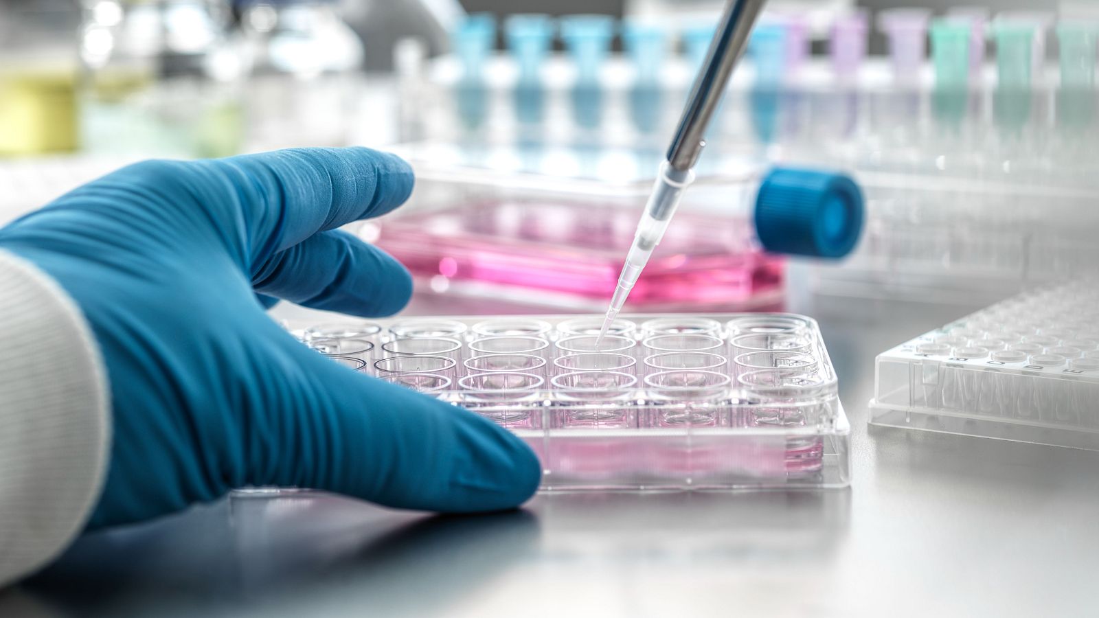 Investigadores de Barcelona estudian cómo retrasar la aparición de tumores | Ver