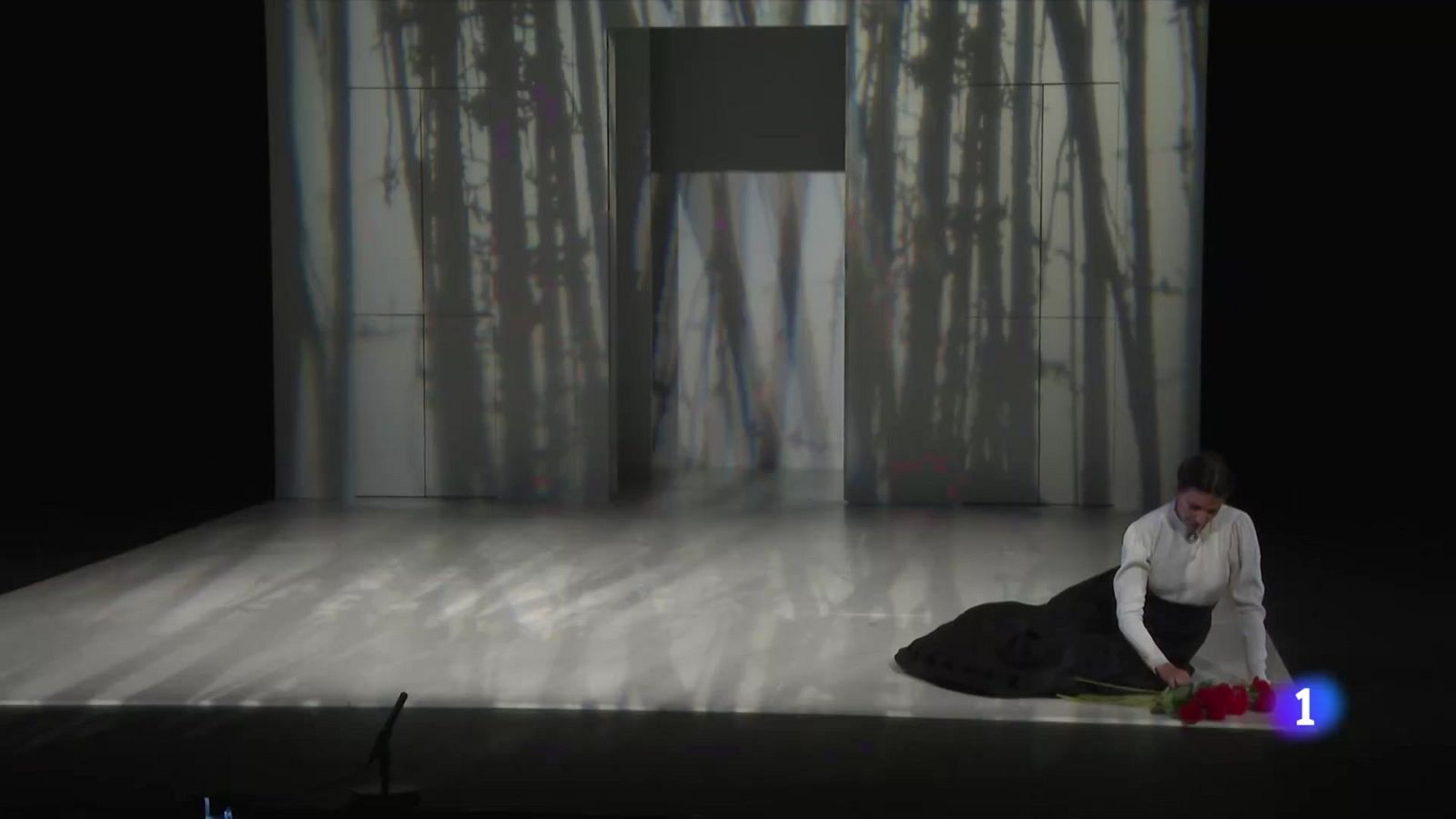 La Regenta, una adaptación teatral | Ver