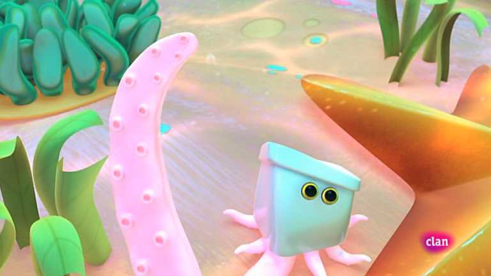 Pulpo - Zoobabu | Ver