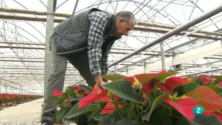 Tinc una idea - Cultius Lloveras