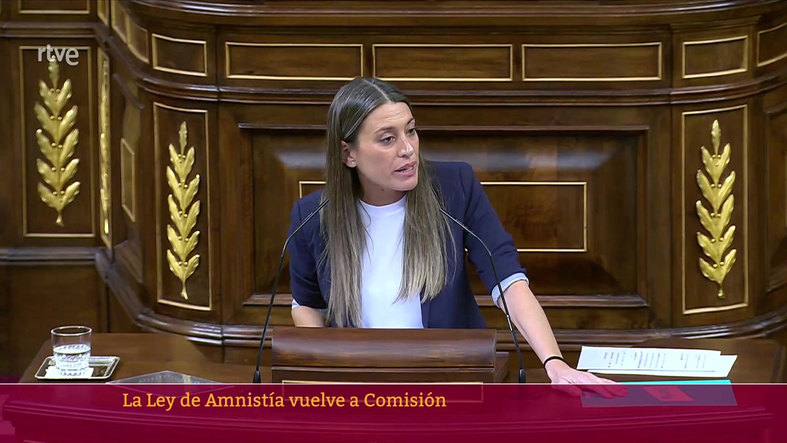 Parlamento-El Foco Parlamentario-Ley de Amnistía | Ver