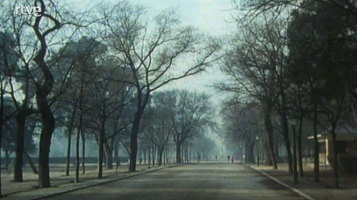 Nuestros árboles - El almendro