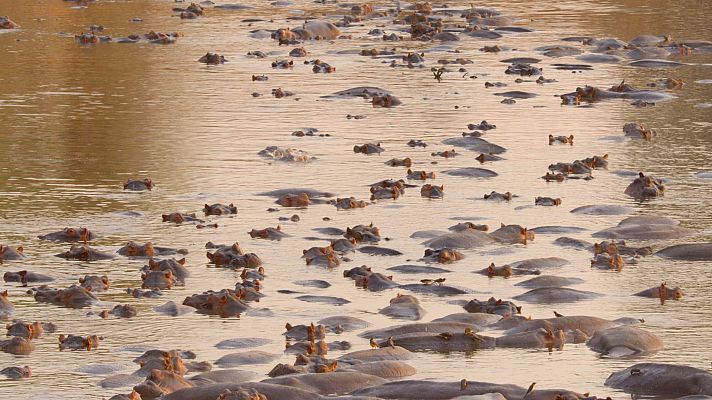 La gran sequía - Empieza la sequía