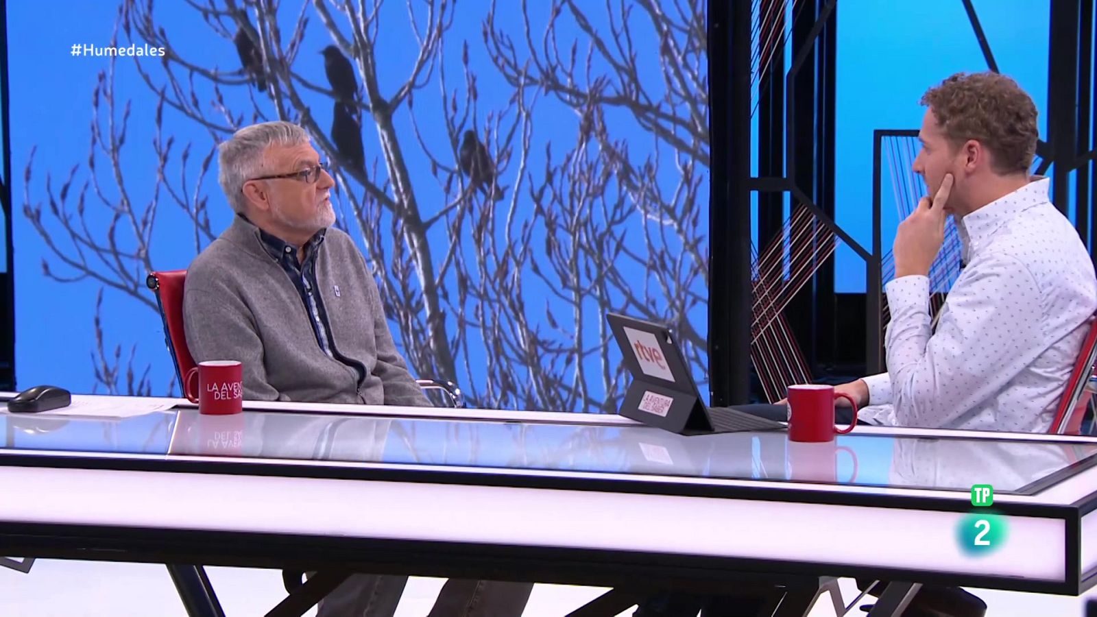 Alberto Fernández. El estado crítico de los humedales | Ver