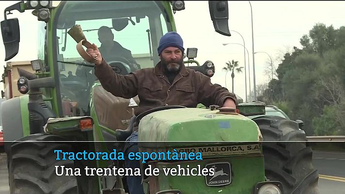 Informatiu Balear - Informatiu Balear 2 - 06/02/24