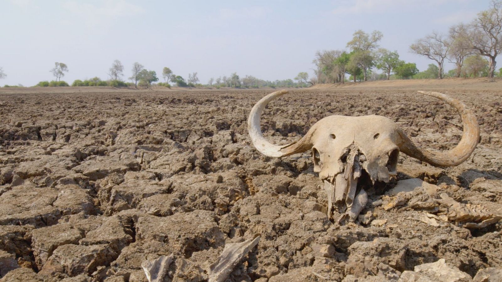 La gran sequía - Episodio 2: La vida en el horno - ver ahora