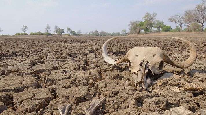 La gran sequía - La vida en el horno